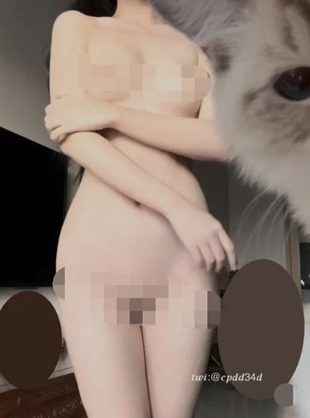 顶级身材网黄 鲨人事件 露出反差婊❤️小腹纯欲天花板 推特合集[472P+22V/1.13G]-资源巴士