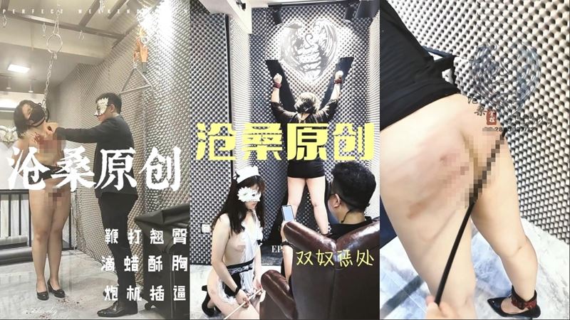 真枪实弹折磨调教女奴！推特顶级SM大神【沧桑S】长视频私拍，鞭打滴蜡炮机双奴惩处，玩女最高境界【4.3G】-资源巴士